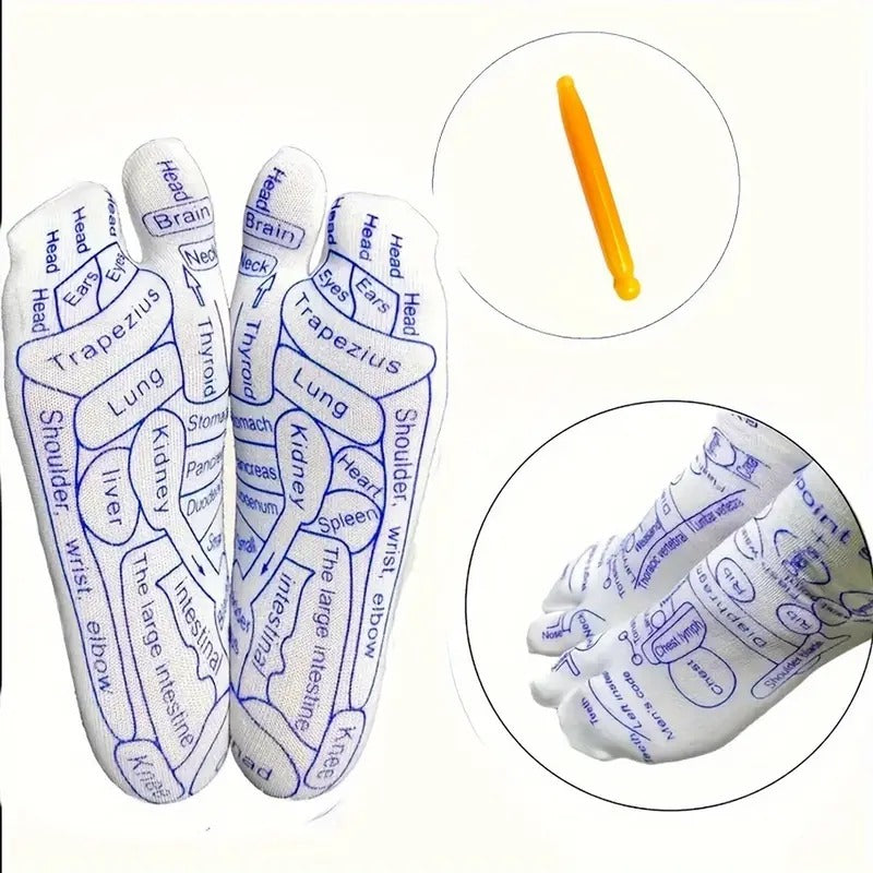 Modern Acupressure Reflexology Socks With Massage Stick For Women And Men, Printed Reflexology Chart of Both Sole, Physiotherapy Socks With Massage Tools Foot Acupressure Point Socks