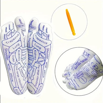 Modern Acupressure Reflexology Socks With Massage Stick For Women And Men, Printed Reflexology Chart of Both Sole, Physiotherapy Socks With Massage Tools Foot Acupressure Point Socks