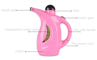 Rz-608 Hand-Held Fabric Streamer 1000 W Fast Heat-up Portable Handheld Garment/Facial Vapor Steamer