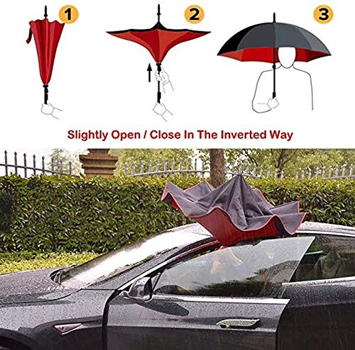 C handle Umbrella