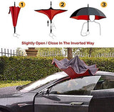 C handle Umbrella