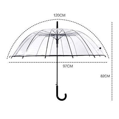 TRANPARENT UMBRELLA