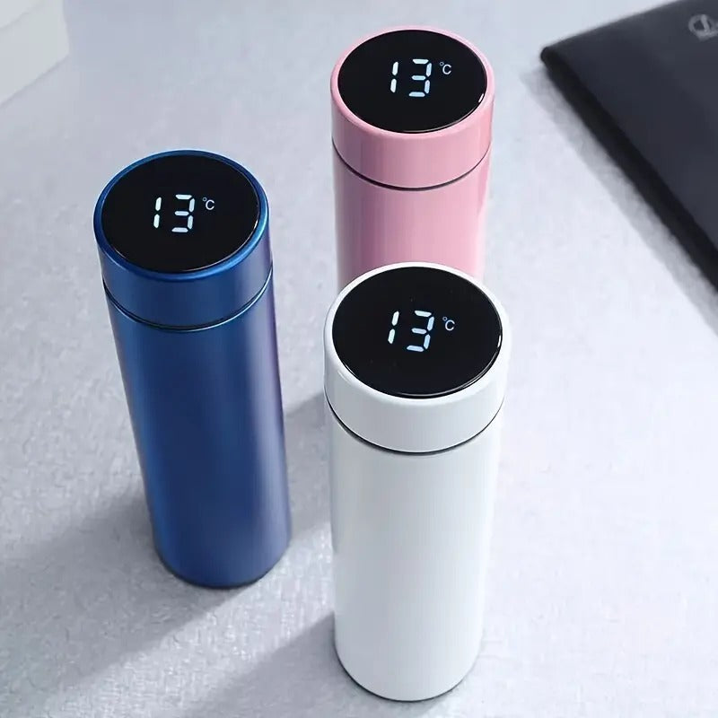 LED Temperature Display Water Bottle