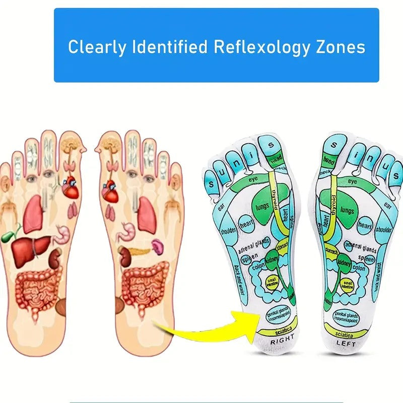 Modern Acupressure Reflexology Socks With Massage Stick For Women And Men, Printed Reflexology Chart of Both Sole, Physiotherapy Socks With Massage Tools Foot Acupressure Point Socks