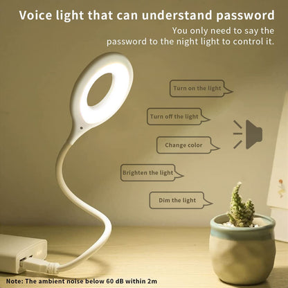 SMART VOICE CONTROL USB LIGHT