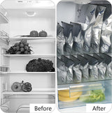 Aluminum Foil Sealable Storage Bags Label and Zip Lock (SET OF 10 PCS)