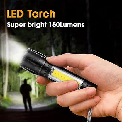 2 IN 1 TOURCH LIGHT