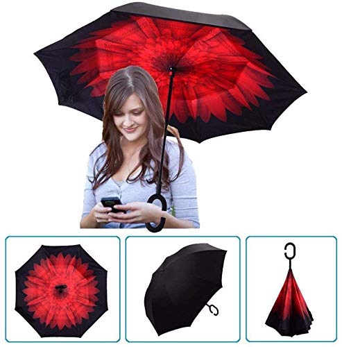 C handle Umbrella