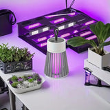 Eco friendly mosquito killer lamp