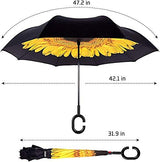 C handle Umbrella