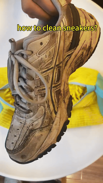 Shoe Washing Machine Bag