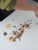 Portable Mini Mop Self Squeeze