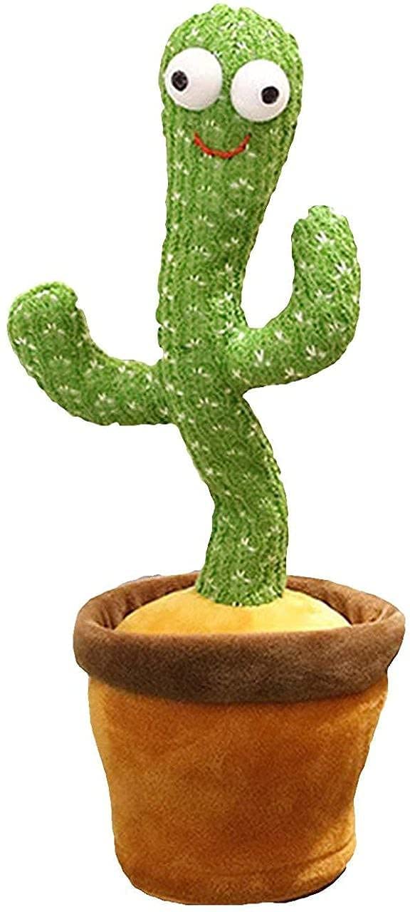 BABY DANCING CACTUS