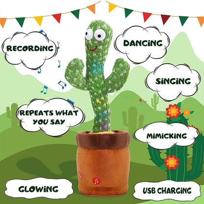 BABY DANCING CACTUS