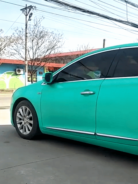 Stainless Steel self Defence Stick Trekking Poles Foldable Pointer Stick