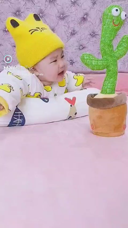 BABY DANCING CACTUS