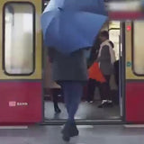 C handle Umbrella