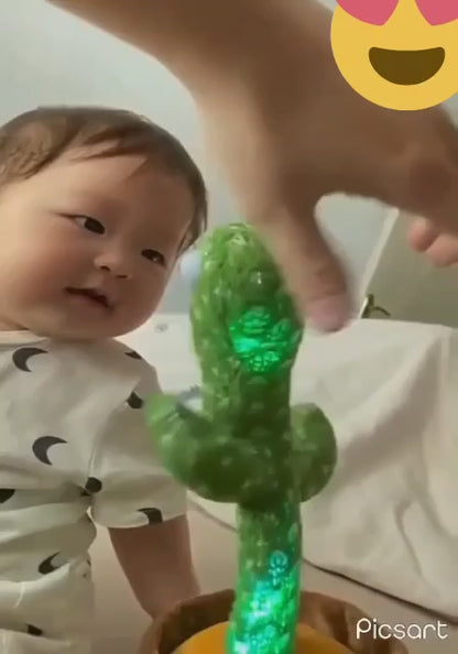 BABY DANCING CACTUS