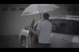 C handle Umbrella